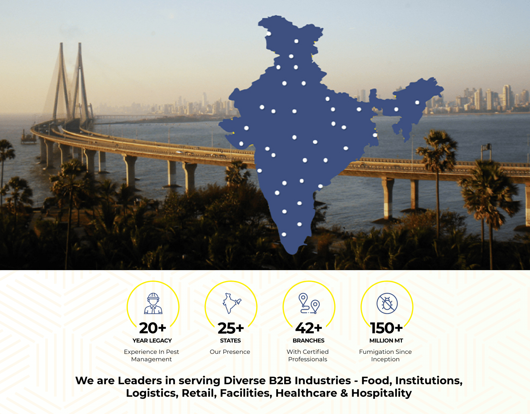 Pest Control Solutions