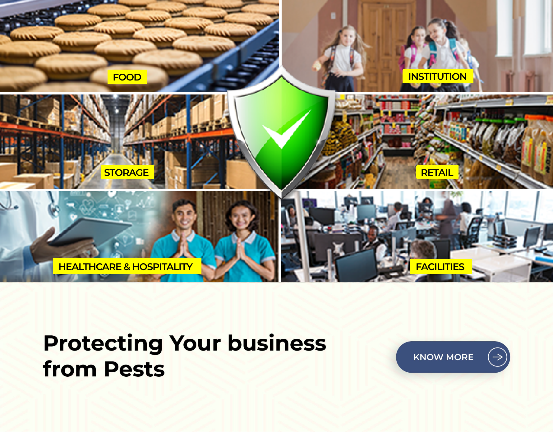 Best Pest Control Company