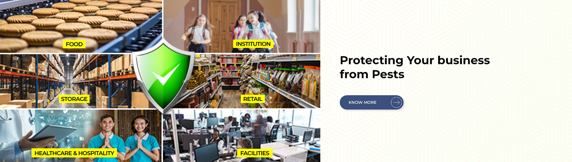 Pest Control Company